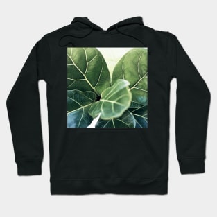 Fig #3 Hoodie